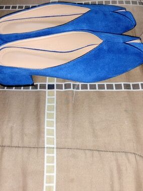 Blue Suede Pointed-Toe Low Block Heel Flats